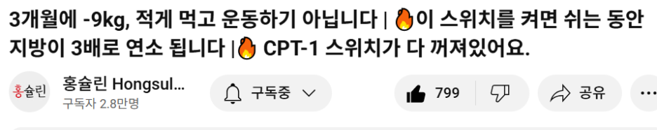 유튜브 홍슐린 채널