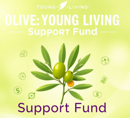 올리브영민생지원금그림