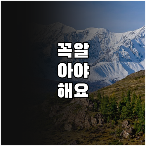 용산구 2025 저소득층 복지 지원 ..