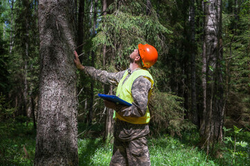 임업직불금 신청하기 