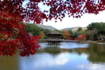 가을 단풍여행 베스트 명소 시니어 추천 코스 완벽 가이드_9