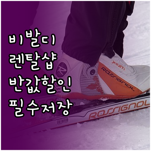 비발디파크 공식 렌탈샵 이용료 할인 ..