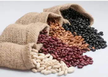 뼈에 좋은 음식 best 10