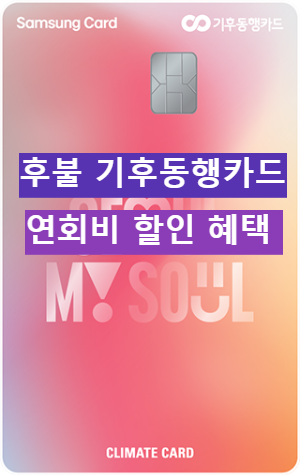 후불 기후동행카드 