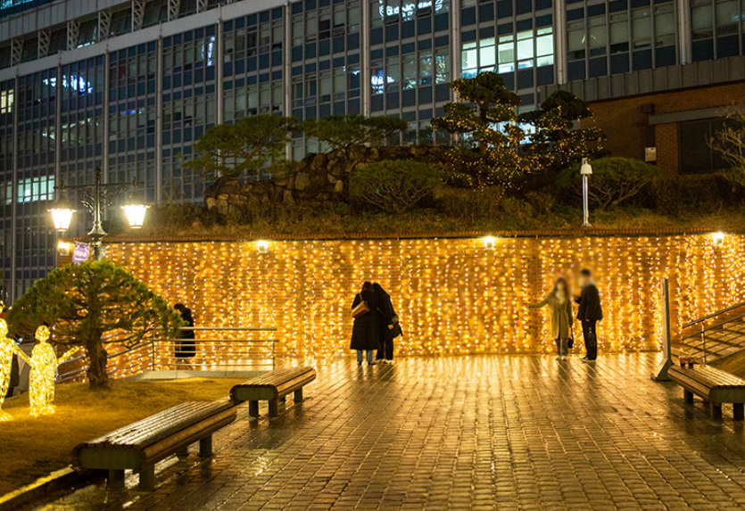 명동성당 크리스마스 LED 장미정원3