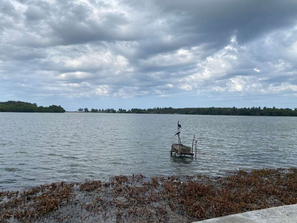 스리랑카 정전 일상