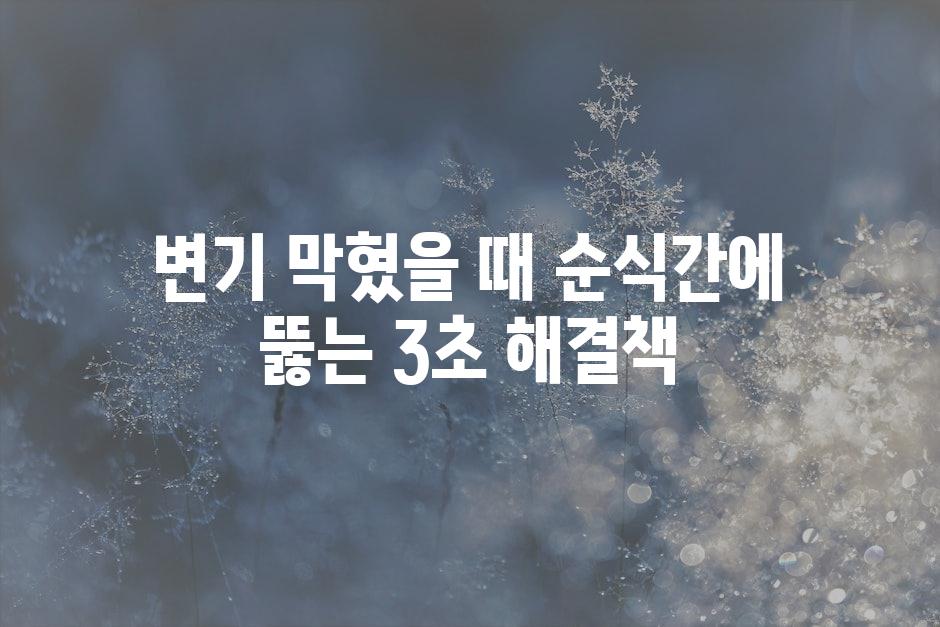 샘플 (47)