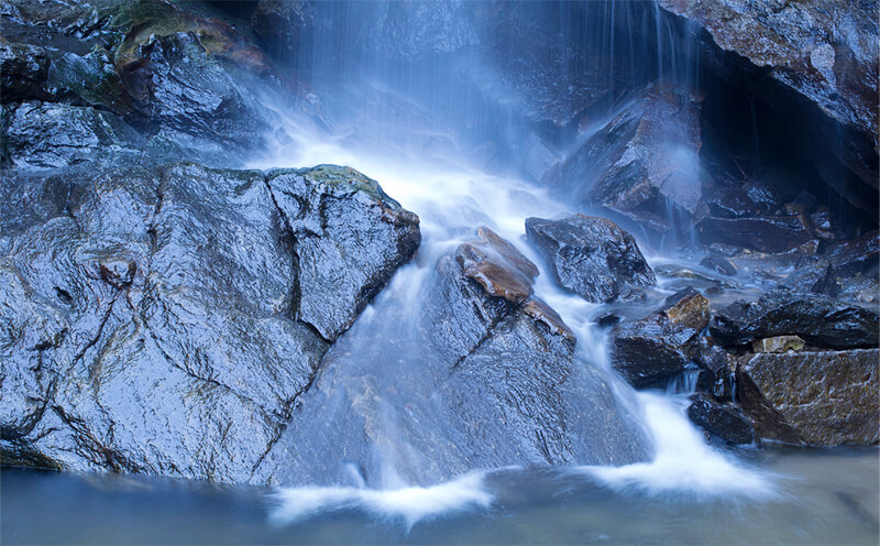 구례 산수유꽃 축제