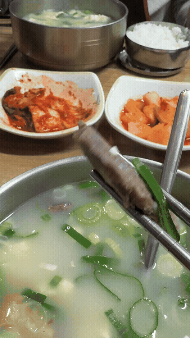강릉 광덕식당 소순이 국밥 속 부드러운 소고기 건더기 모습 GIF