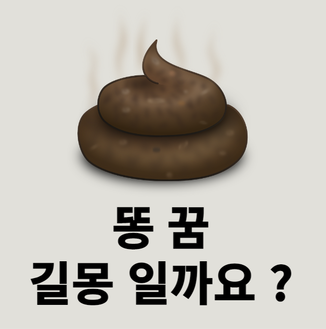 똥 꿈 해몽 ( 대변이 몸에 묻는, 대변, 다리에 똥, 똥을 싸지 못한 꿈,남자가 화를 내며 침대에다 똥을 싸버린 꿈, 새 똥을 맞는, 똥을 밟는, 갓난 아기의 똥, 똥물이 새는)