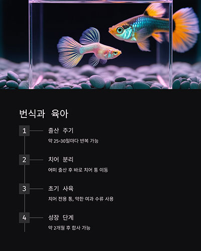 번식과 육아: 새끼 구피는 따로 관리