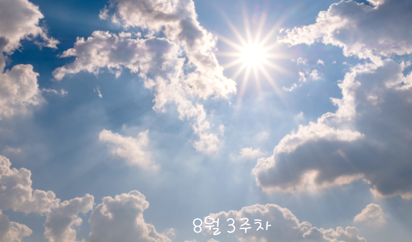 3주차 (8월 12일 월요일 ~ 8월 18일 일요일)