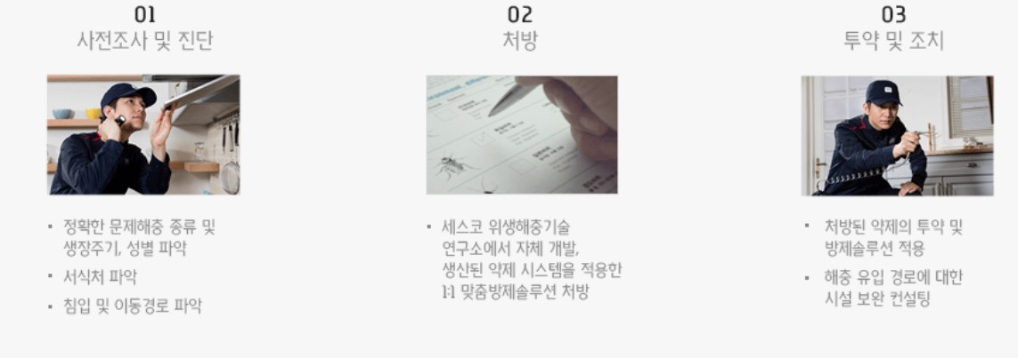 세스코-가정집-가격