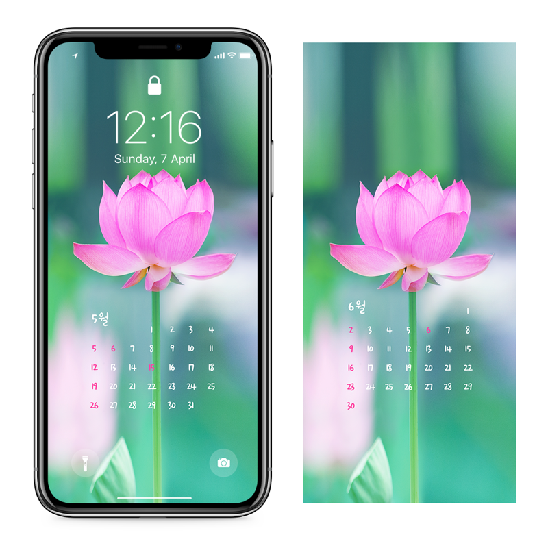 05 한 송이 연꽃 AB - 2024년5월 아이폰달력배경화면