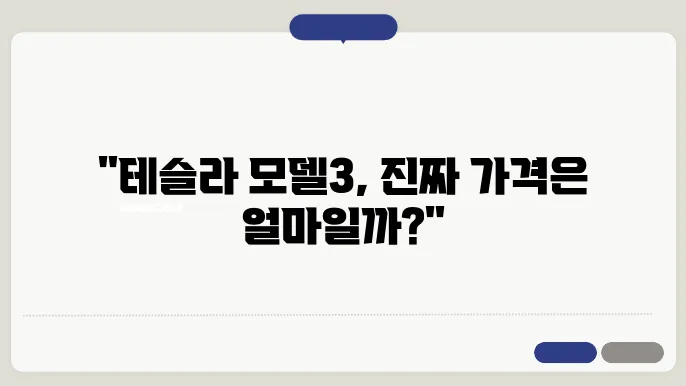 테슬라 모델3 실구매가