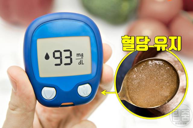 차전자피 효능 부작용 하루권장량 매일 당뇨 혈당