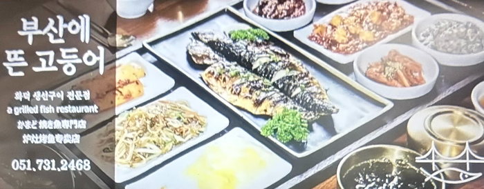 부산에 뜬 고등어