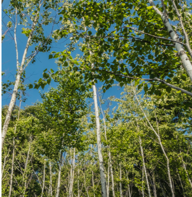 화담숲 사계절 여행