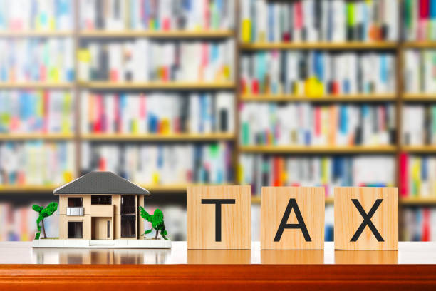 2025년 재산세 정책- 인상 또는 완화 ?