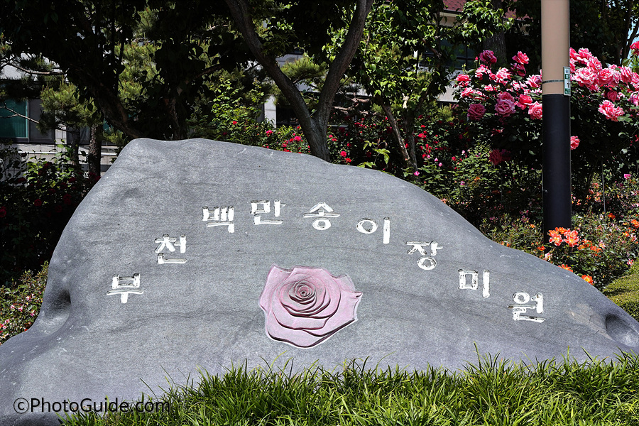 부천백만송이장미원