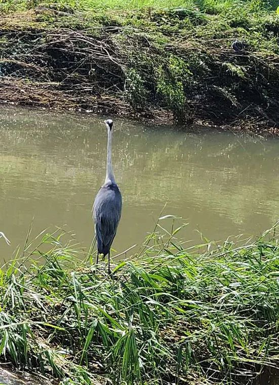 광교호수공원