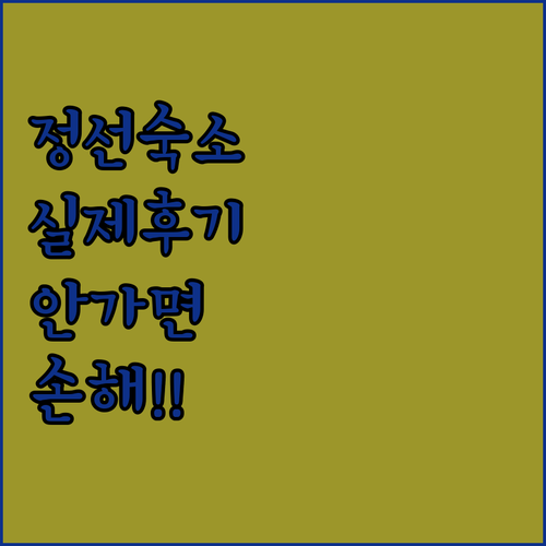 정선 여행 필수 숙소 5곳 실제 후기..