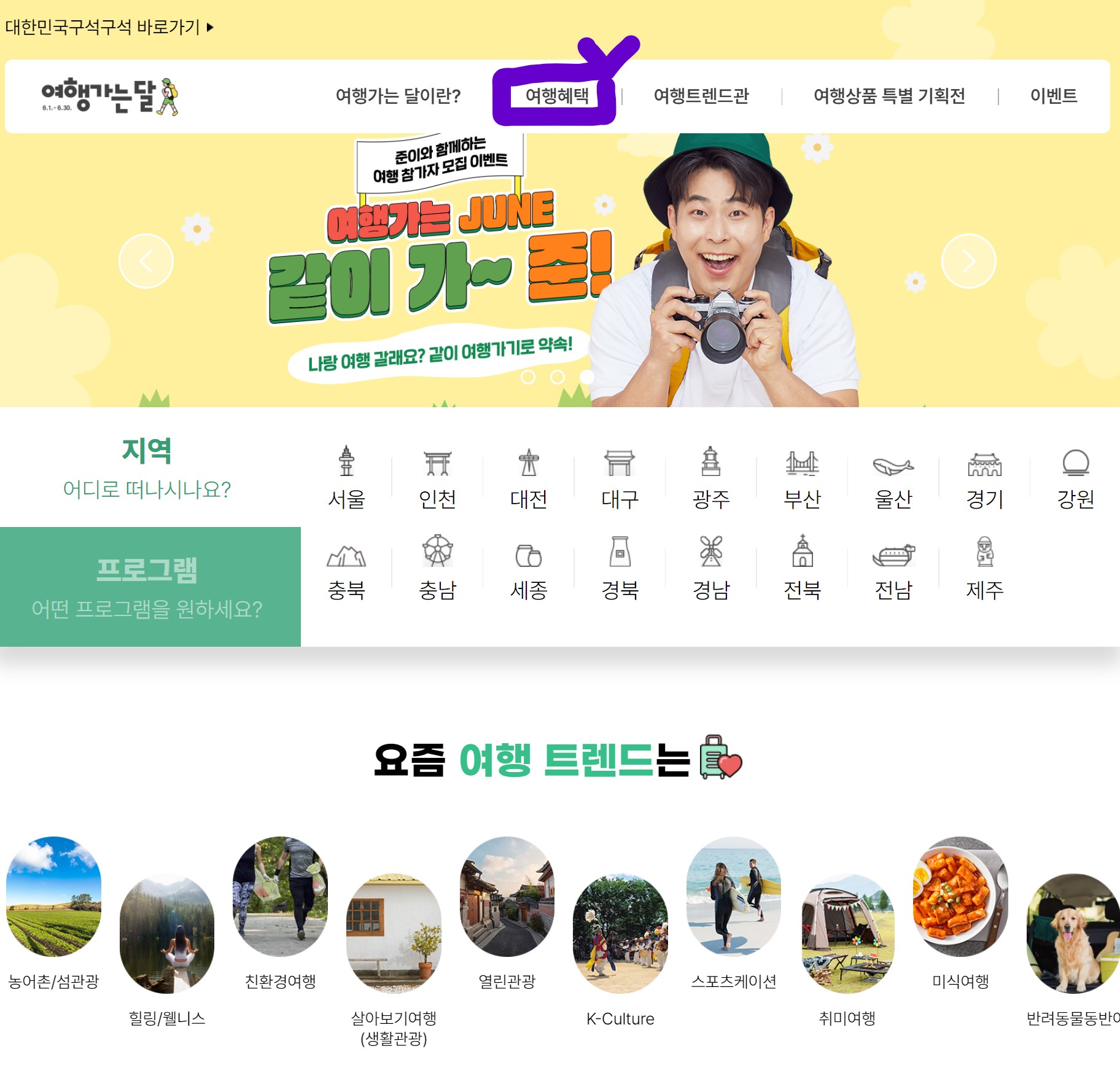 국내여행지원금