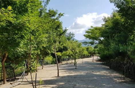 6시 내고향 무주 카페 캠핑 체험 무주눈꽃덕유캠프