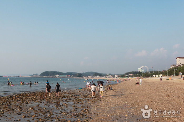 2026 보령 가볼만한곳