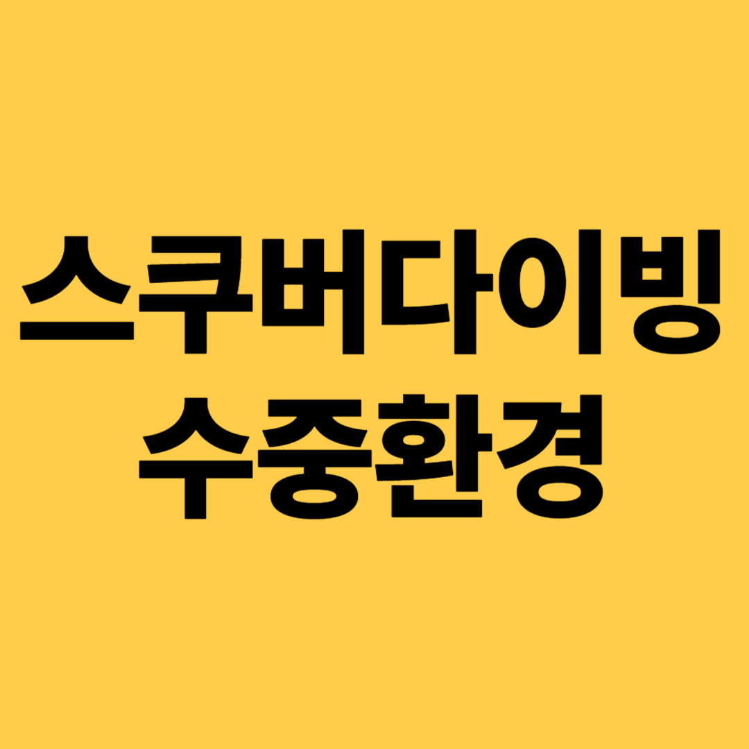 스쿠버다이빙 수중환경