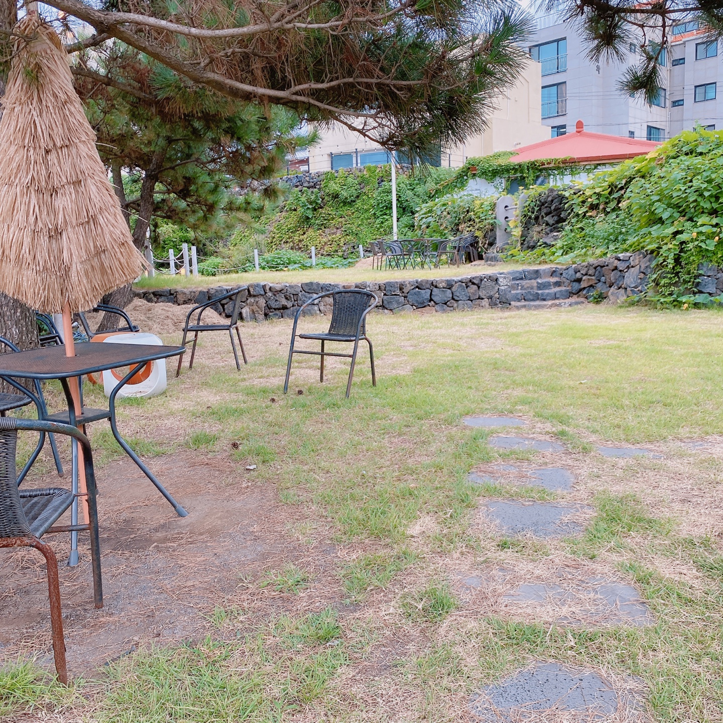 함덕해변 서우봉 구옥개조 제주돌집 사계카페