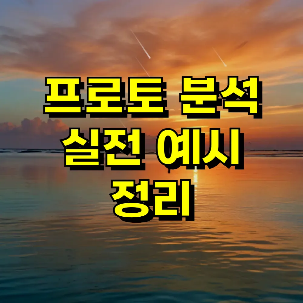 프로토 분석 실전 예시 정리