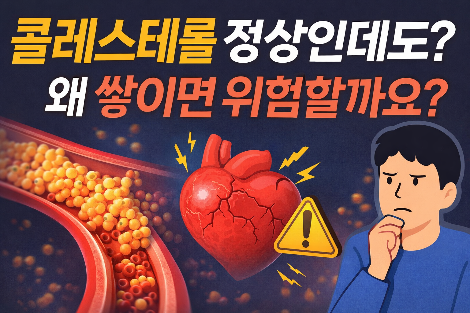 콜레스테롤에 대한 이해