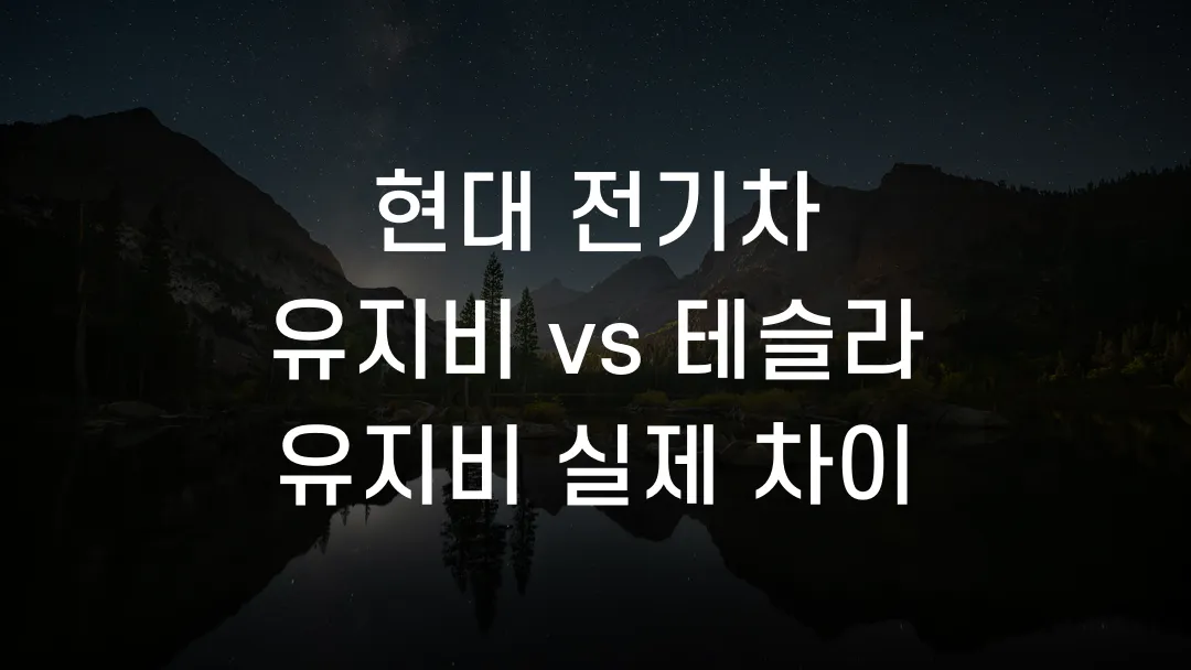 현대 전기차 유지비 vs 테슬라 유지비 실제 차이