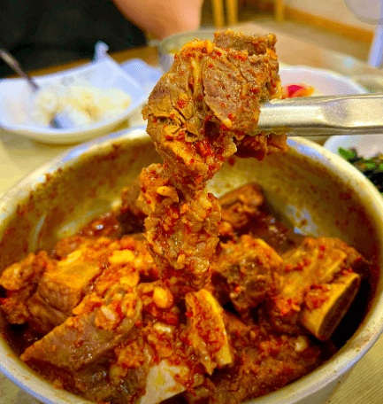 [6시 내고향] 대구 찜갈비 맛집 대구 동인동 찜갈비골목 벙글벙글 찜갈비 택배주문