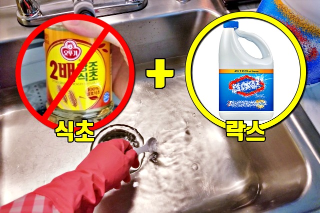 코로나 자가격리 소독,식초 락스,팁줌