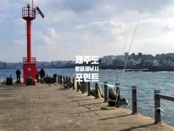 낚시 바다 방파제 시즌별 어종 미끼 채비 맞춤 가이드_4