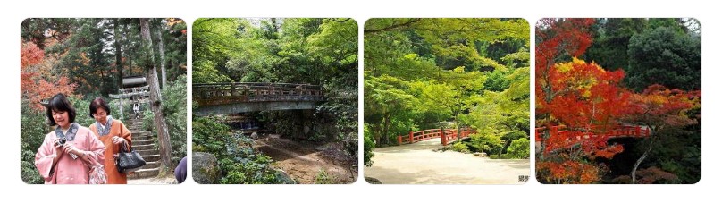 미야지마 모미지다니 공원의 사계절 풍경과 기모노 체험 장면