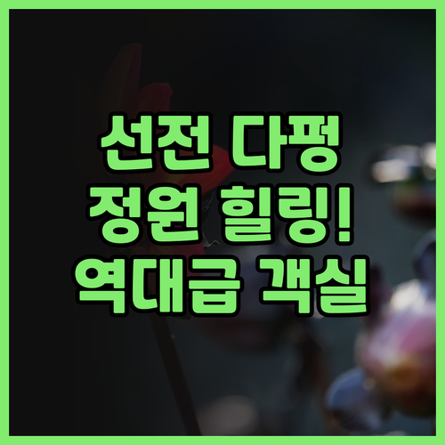 선전 다펑 호텔 후기 아름다운 정원과..