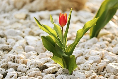 청와대 관람신청 예약 주차장 소요시간