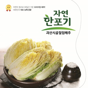 괴산 절임배추