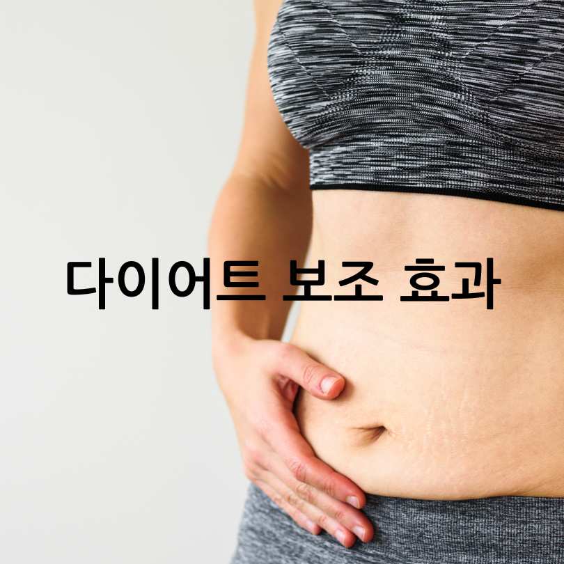 대사유산균 효능과 제품 추천