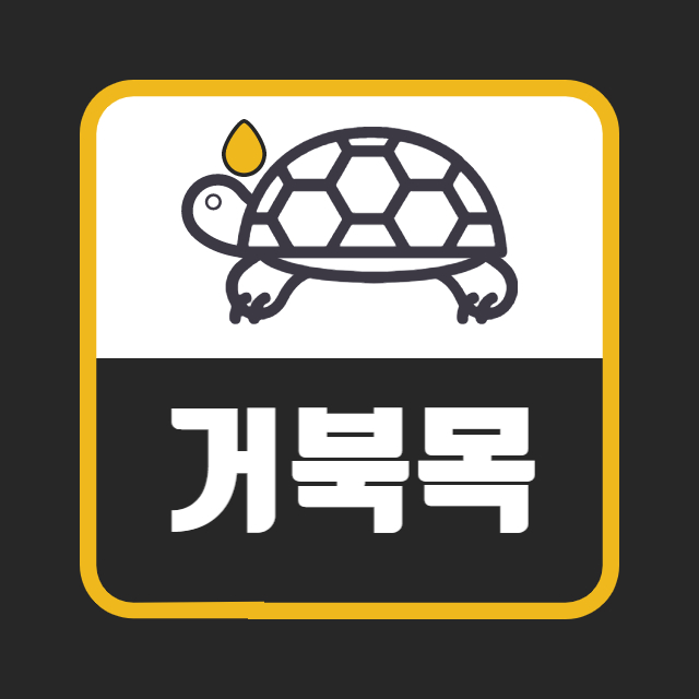거북목