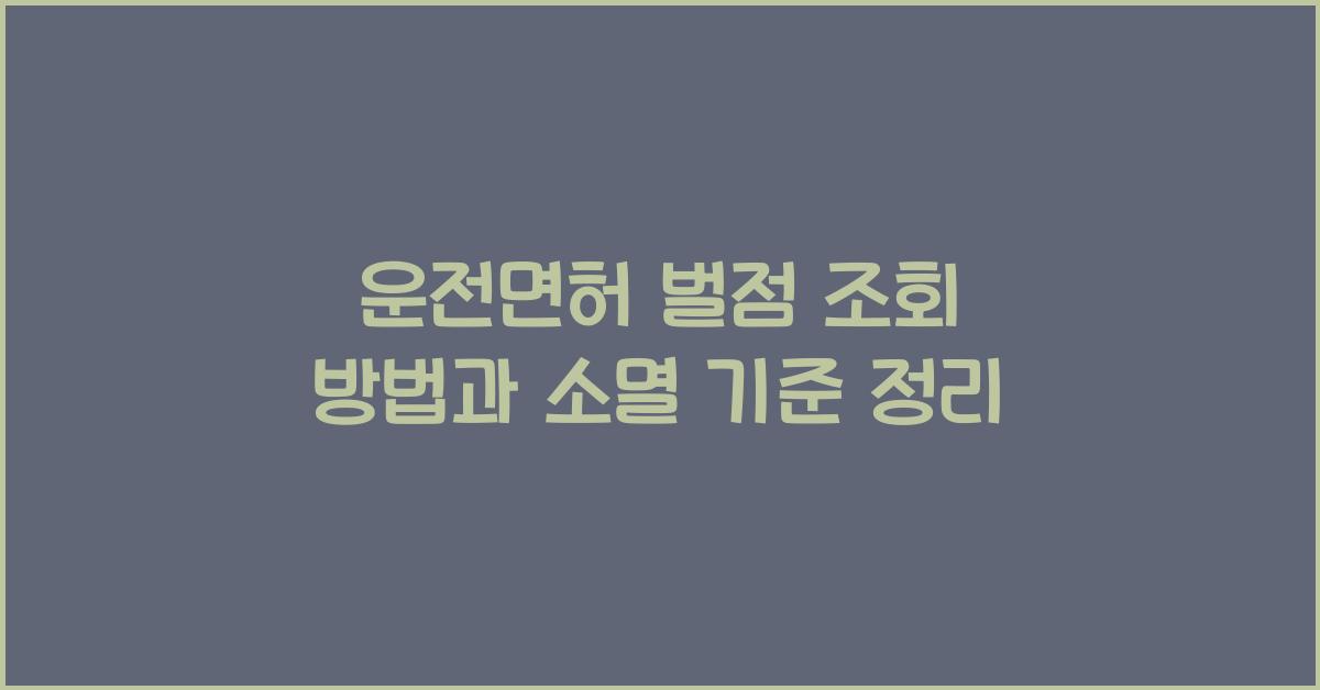 운전면허 벌점 조회