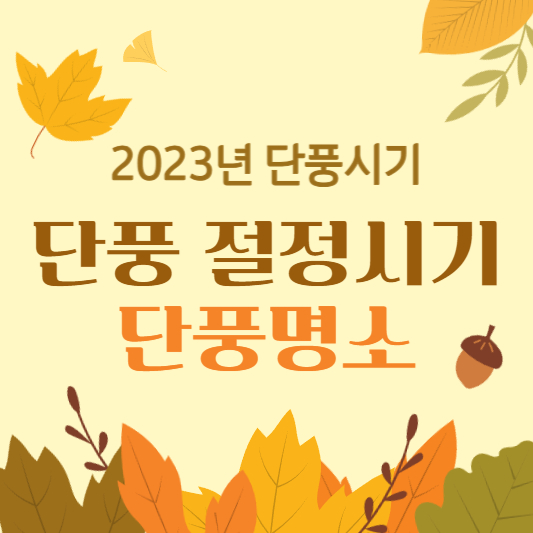 2023 단풍시기