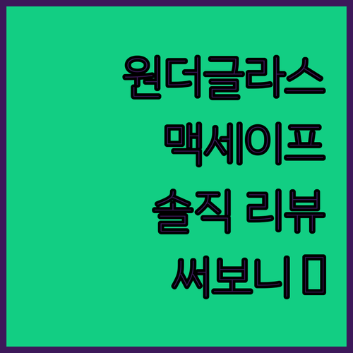 원더글라스 맥세이프 케이스 써보니 이