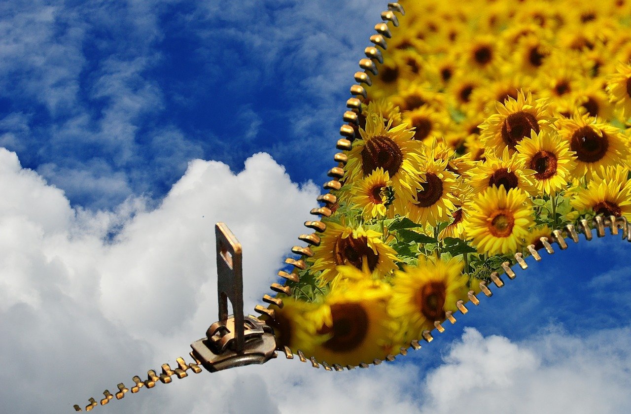 서울런 4050 평생학습포털