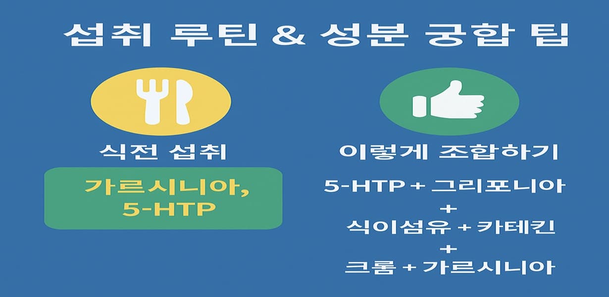 “식욕 조절을 위한 섭취 루틴과 보조 성분 궁합 조합을 정리한 인포그래픽 이미지”