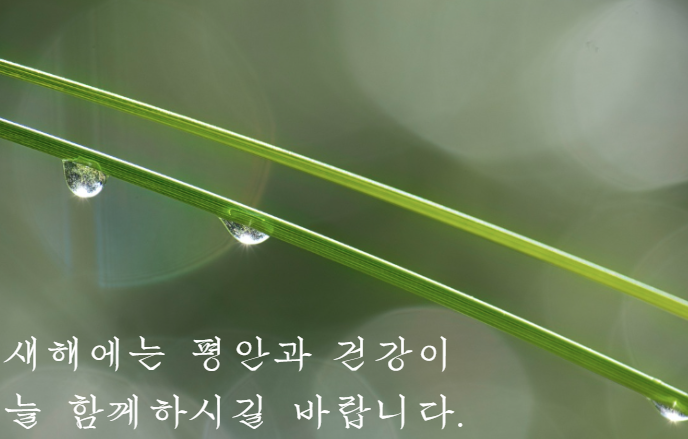 1월 인사말 모음집 카톡&middot;문자&middot;메일용 짧은 인사말 정리