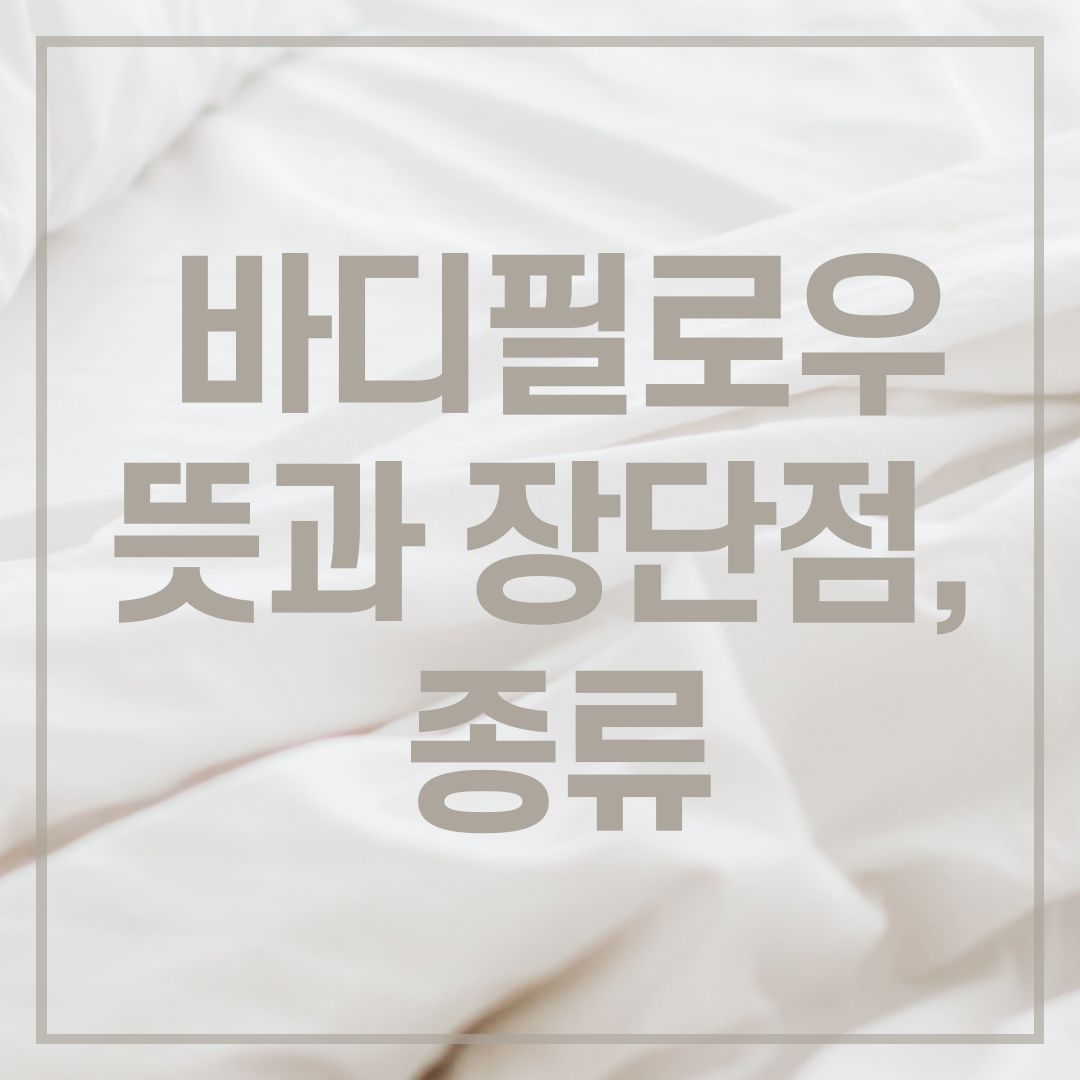바디필로우 뜻과 장단점, 종류 이미지